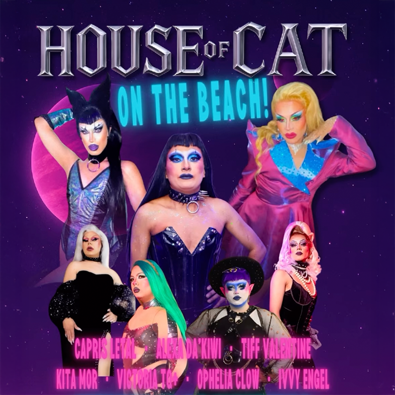 House of Cat - ON THE BEACH!