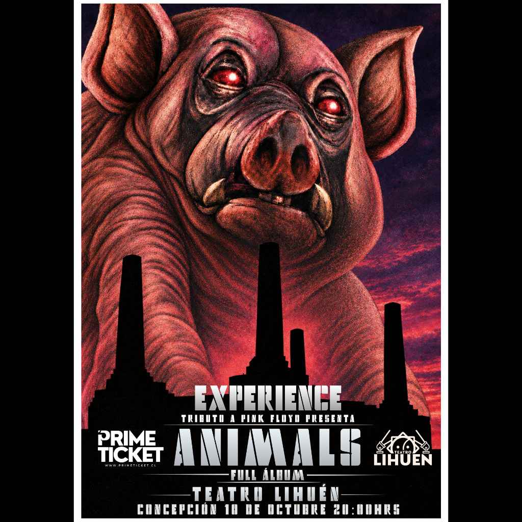 EXPERIENCE TRIBUTO A PINK FLOYD PRESENTA ANIMALS