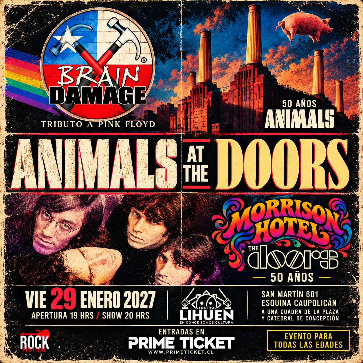 Animals at the Doors 